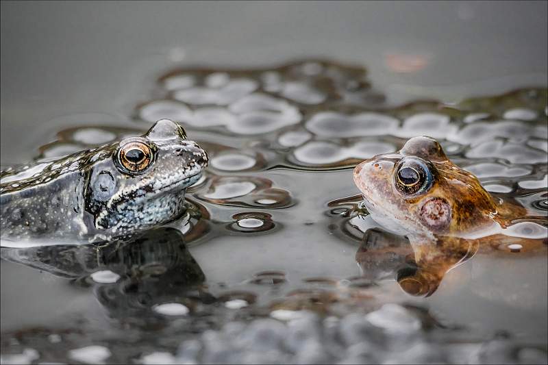 Your place or mine-.jpg - Open